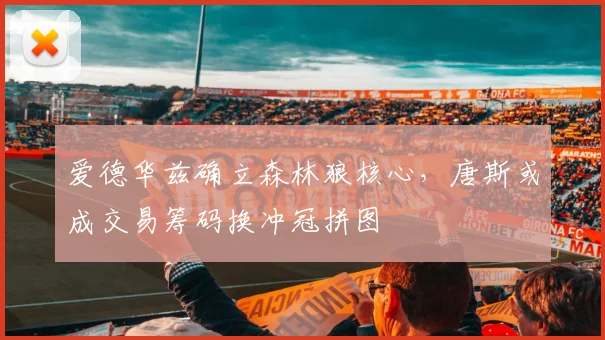 爱德华兹确立森林狼核心，唐斯或成交易筹码换冲冠拼图